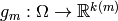 g_m:\Omega \rightarrow \mathbb{R}^{k(m)}