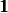 \pmb{1}