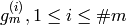 g_m^{(i)}, 1 \leq i \leq \# m